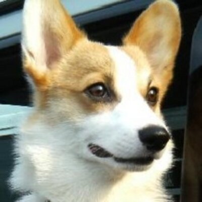 Profile Picture of Ivan Armstrong (@IvanArmstrong1) on Twitter
