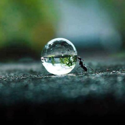 Profile Picture of Manju John (@ManjuSalyjohn) on Twitter