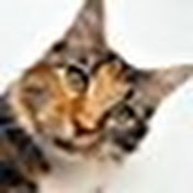 Profile Picture of Nick Dobson (@nickdobson8634) on Youtube