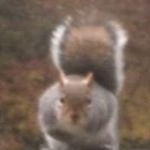 Profile Picture of Simon Hickling (@sihickling) on Instagram