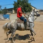 Profile Picture of Armando Arredondo (@armando.arredondo.9849) on Instagram