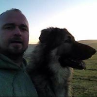 Profile Picture of Kev Gornall (@kevin_gornall20) on Pinterest