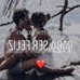 Profile Picture of Paula Becerra (@paula.becerra.37669) on Facebook