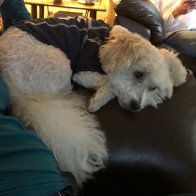 Profile Picture of Nichole Mazzara (@nicholemazzara) on Pinterest