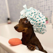 Stefan Corbin  - Youtube Profile Picture of Stefan Corbin  (@StefanCorbin-ls2jk) on Youtube