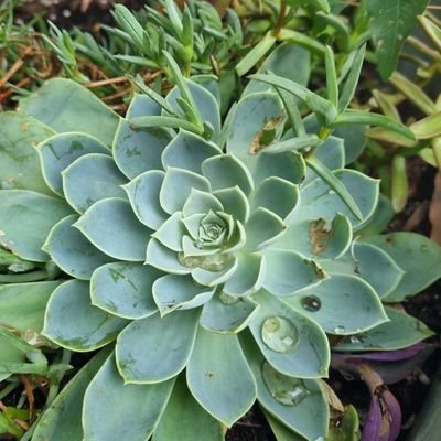 Profile Picture of Sarah Zacharia (@szach16) on Twitter