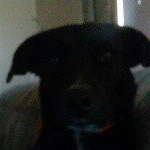 Profile Picture of Nicole Marie Wiese (@nicole.wiese) on Instagram