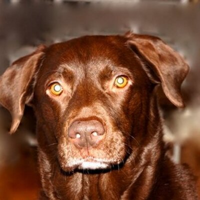 Profile Picture of Dave Coney (@DaveConey1) on Twitter