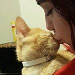 shabadoo - Instagram Profile Picture of shabadoo (@_.shabadoo._) on Instagram