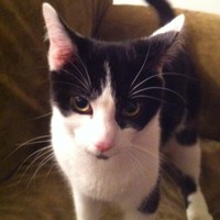 Profile Picture of Lisa Marr (@lisa-marr-15) on Quora