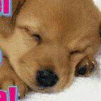 Profile Picture of cricri (@gabriela_brandy_garcia_lopez) on Instagram