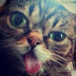 Profile Picture of Marc Hausmann (@housypage) on Instagram