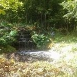 Profile Picture of Carol Lafferty (@lafferty_carol) on Instagram