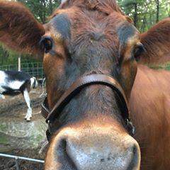 Jackie Clements - Tiktok Profile Picture of Jackie Clements (@userscjha113tv) on Tiktok