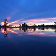 Profile Picture of scottcraver1 (@scottcraver1) on Tiktok