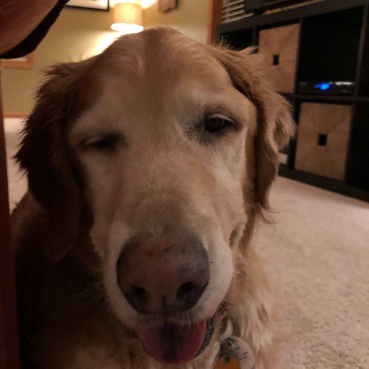 Profile Picture of Patrick Dugan (@@patrick_dugan) on Tiktok