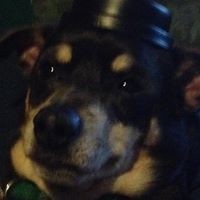 Profile Picture of Sherry Ritter (@sherry-ritter-2) on Quora