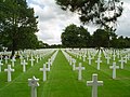 Profile Picture of Normandy American Cemetery and Memorialon Wikipedia