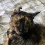 Profile Picture of Levi Downs (@Levi-Downs) on Facebook