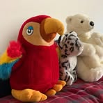 Profile Picture of Henry Brooks (@Henry-Brooks) on Facebook