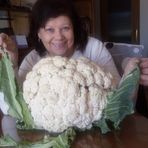 Profile Picture of Lidia Cossio (@lidia.cossio.372) on Facebook