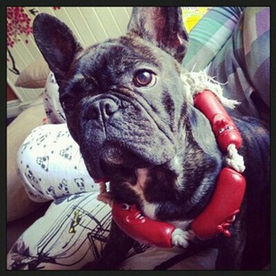 Profile Picture of Hal-e Roscoe (@HalRoscoe) on Twitter