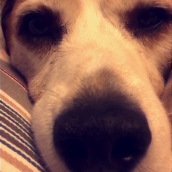 Profile Picture of Camryn Pischke (@campischke) on Poshmark