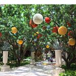 Profile Picture of Basilia Gonzalez (@basilia.gonzalez.90410) on Instagram