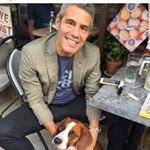 Profile Picture of James Robert (@james_robert3457) on Instagram