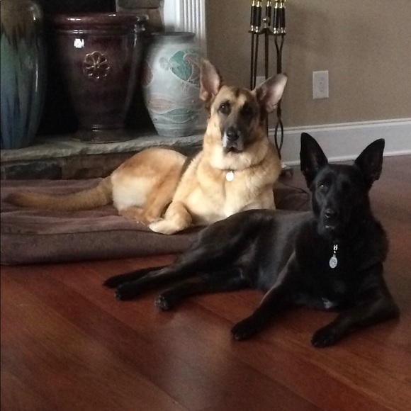 Profile Picture of Andy Roussis (@aroussis) on Poshmark