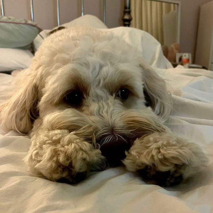 Profile Picture of Tony Fisk (@tony.fisk5) on Tiktok