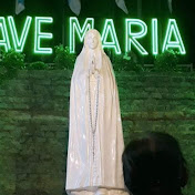 Profile Picture of Jimmy Hua (@jimmyhua6610) on Youtube