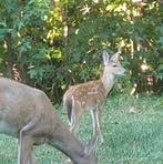 Fearns Dan - Facebook Profile Picture of Fearns Dan (@fearns.dan) on Facebook