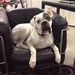 Profile Picture of Joshua Wallace (@joshua5259) on Pinterest