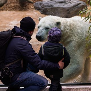 Profile Picture of Alexander Brinkmann (@Alexander-Brinkmann) on Facebook