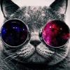 Profile Picture of Bénjamin Trader (@@benjamintrader) on Tiktok