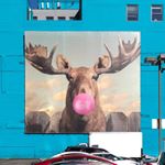 Profile Picture of Andrew Leyba - M.M. Essay (@columbia_creatives) on Instagram