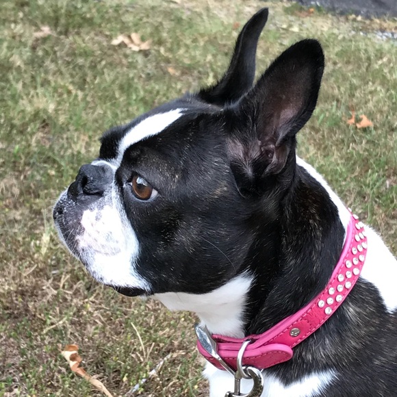 Profile Picture of Julie Varisco (@italy718) on Poshmark