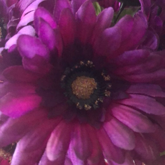 Tahani Achmar - Poshmark Profile Picture of Tahani Achmar (@tahani836) on Poshmark