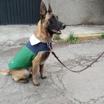 Profile Picture of Victor Calzada (@Victor-Calzada) on Facebook