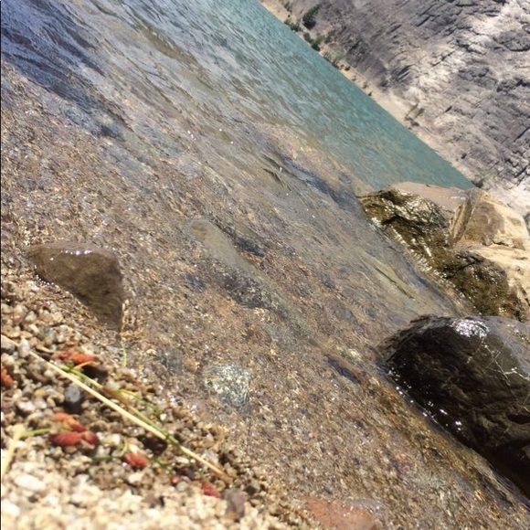 Profile Picture of Aylin Canchola (@aylincanchola) on Poshmark