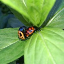 Profile Picture of Ben Watson (@Benton55406) on Twitter