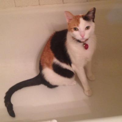 Profile Picture of Jesse James (@Jesse512Roberta) on Twitter