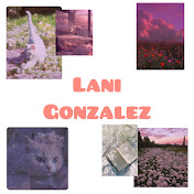 Profile Picture of Lani Gonzalez (@VGonzal89) on Youtube