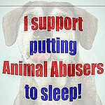 Profile Picture of Jim Oconnor (@jim.oconnor45) on Flickr