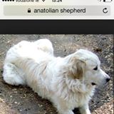 Profile Picture of Devon Connor (@Devon-Connor) on Facebook