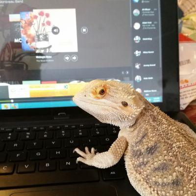 Profile Picture of Adam Mc (@adam_mcclanahan) on Twitter