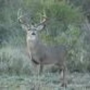 Profile Picture of Robert Fausnaugh (@178307623) on Myspace