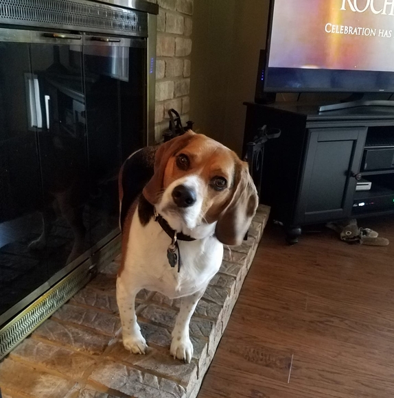 Profile Picture of Melissa Kellgren (@melissakellgren) on Poshmark