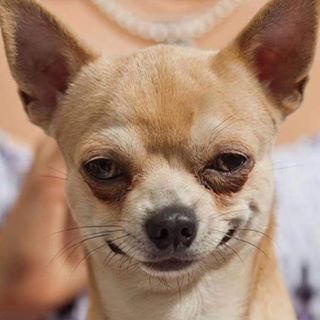 Profile Picture of Joey Bartner (@joey.bartner.1) on Facebook